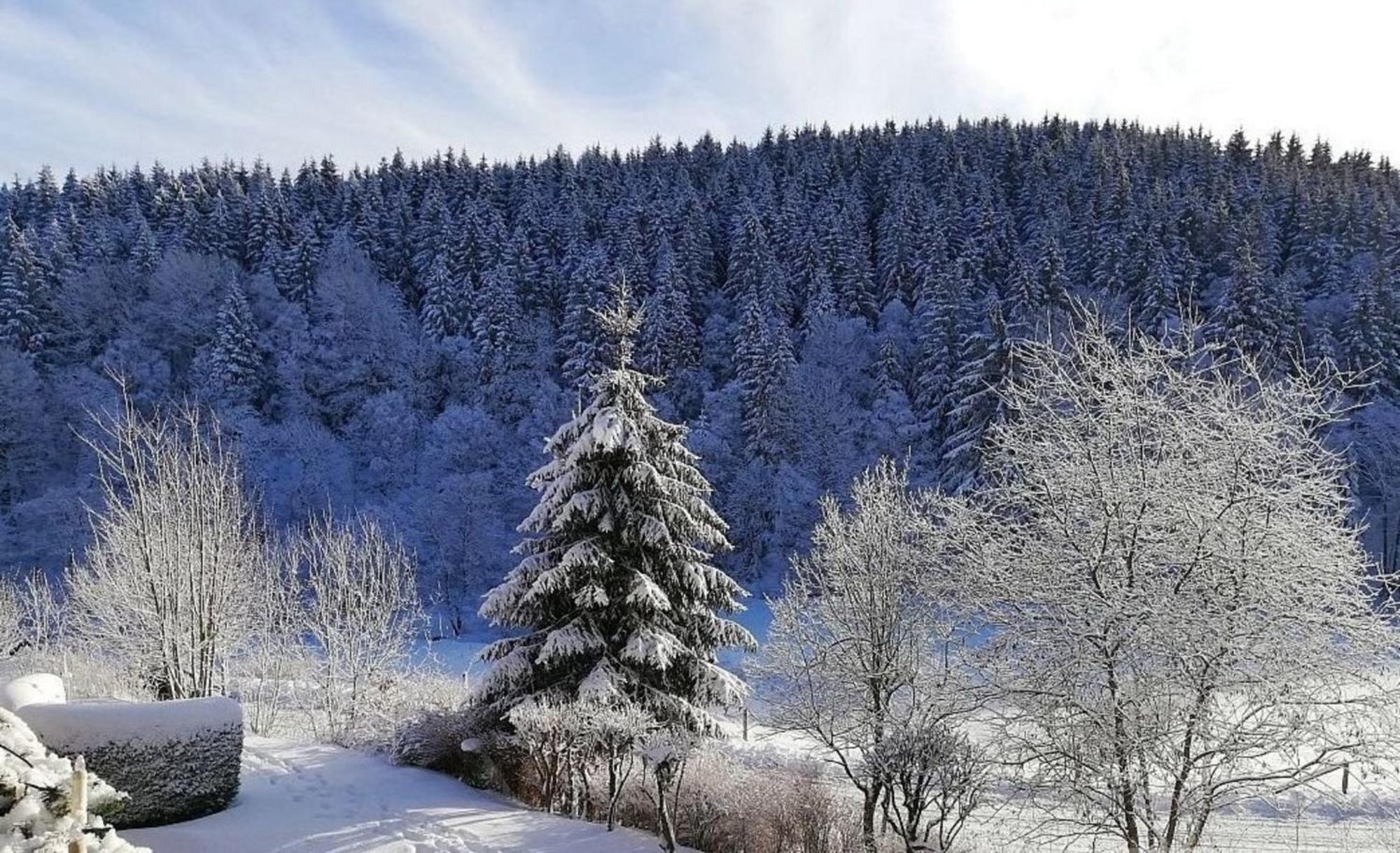 Buere Blick * Winterberg